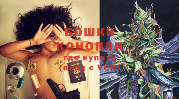 шишки Баксан