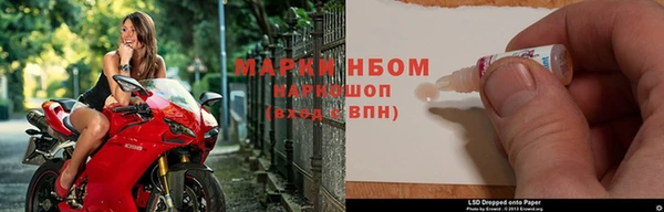 шишки Баксан