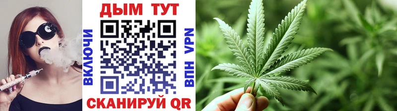 Бошки Шишки ГИДРОПОН  Шагонар 